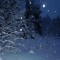 𝙎𝙉𝙊𝙒 🌨️