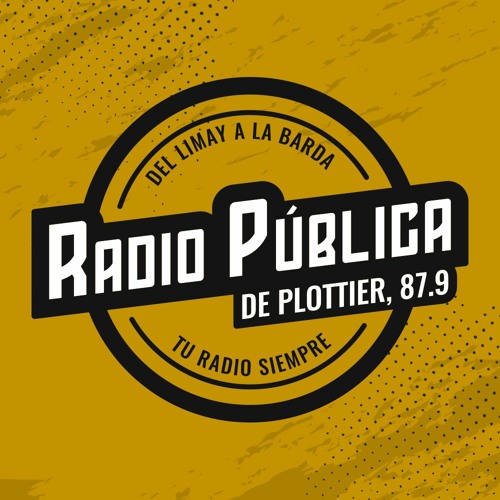 Stream Radio Pública de Plottier | Listen to podcast episodes online for  free on SoundCloud