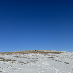 Mongolia