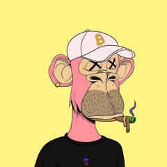 diplo