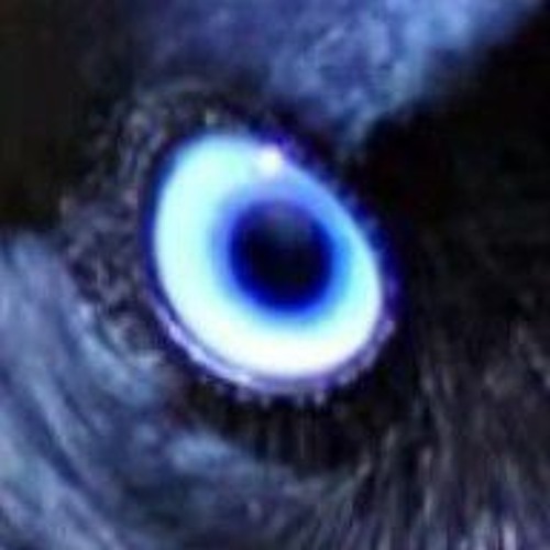 this kingdom is mine by candlebard