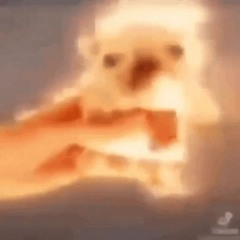 2134324234234312412431243132443432343443443311331