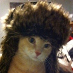 catvihn