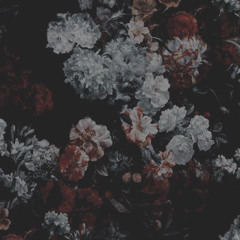 سَارة
