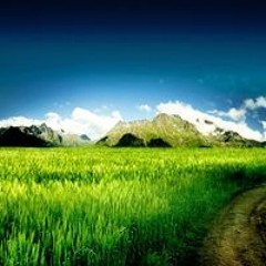 Станислав Козловский