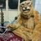 Shayban