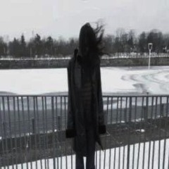 введите текст