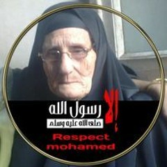 Bassem Fouad Mohamed