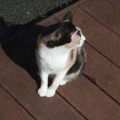 끄엉앙앙앙응엉엉엉엉