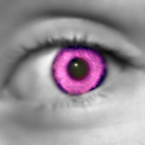 www.purple-gremlin-34.com’s avatar