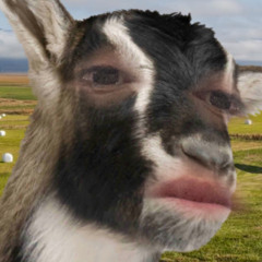 Trái tim tha hoá