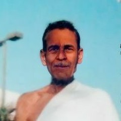 محمد سيد حسانين