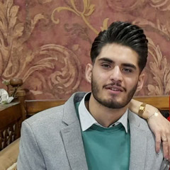 Reza Safiloo