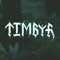 TIMBYR