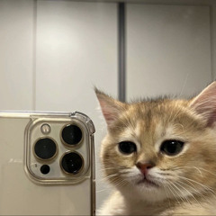 HMD