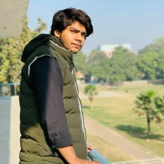 ali bhatti