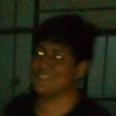 Diego Dorregaray Pajarito