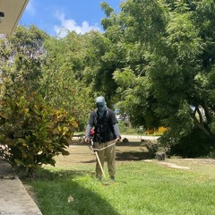 önömŵ üüch 🍌