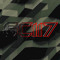 GC 117