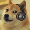 dogegamer 2995
