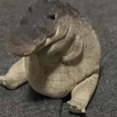 geg