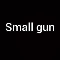 small gun