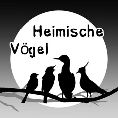 Heimische Vögel