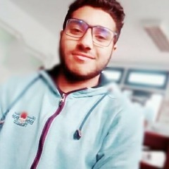 mohamed Ahmed