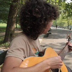 Avi Neta