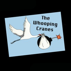 The Whooping Cranes