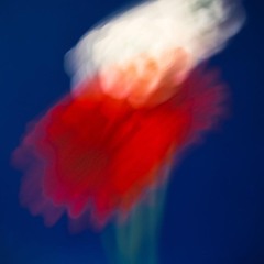 The Flower Chant