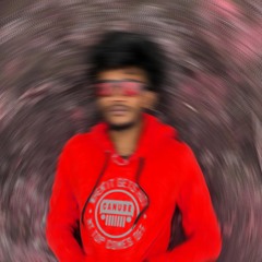 shibinhere