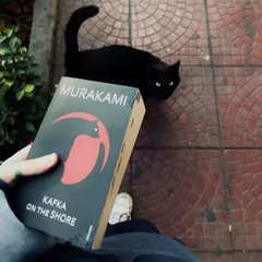 аналитик титек