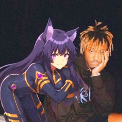 DvnShade