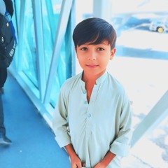 Taimoor Shahwani