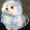 Flubs