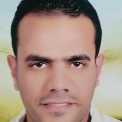 Mohamed Mahmoud | محمد محمود