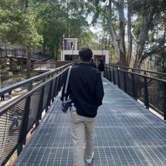 TomyAndrew