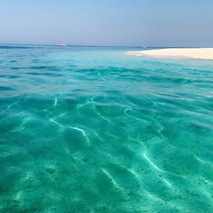 ماحد كما المولى- فؤاد عبدالواحد