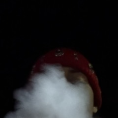 JaySlimeSon