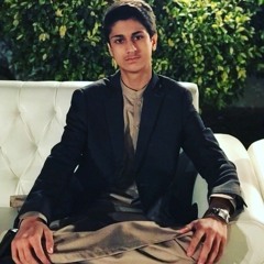 ⚜mir shafin kurd⚜