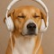 Beat Sound