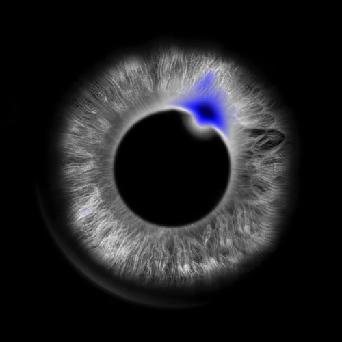 dark matter clear pattern’s avatar