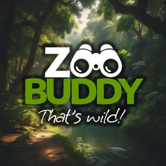 ZooBuddy