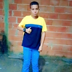 Victor Gabriel Silva