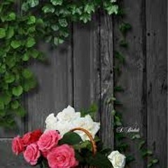 Ramsha Shahzad