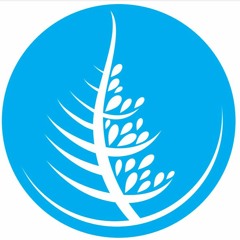 Virgile Vallet