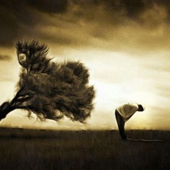 مرتضى حكيم رؤوف