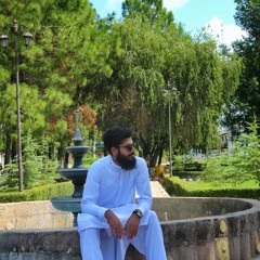 Hassan Raza
