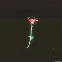 Vitor Daniel Oliveira